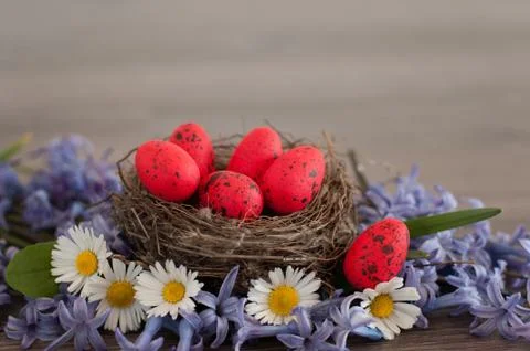 Easter quail eggs Stock Photos