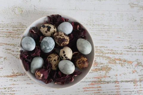 Easter quail eggs Stock Photos