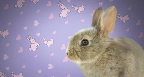 Easter Rabbit against wall with rabbit pattern Stock Photos