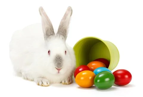 Easter rabbit and eggs Stock Photos