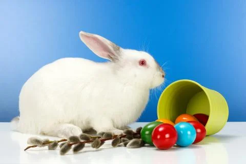 Easter rabbit and eggs Stock Photos