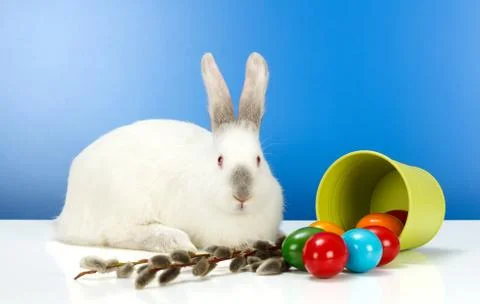 Easter rabbit and eggs Stock Photos