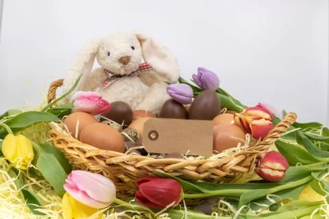 Easter rabbit and text box with tulips and different easter eggs Stock Photos