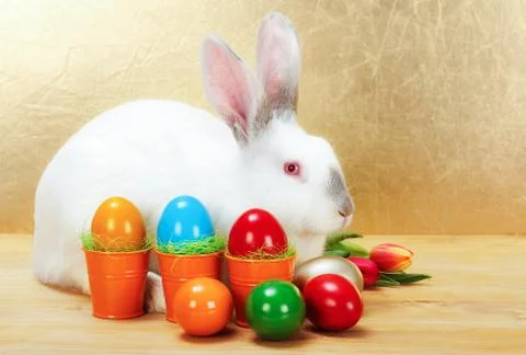 Easter rabbit with colorful eggs Stock Photos
