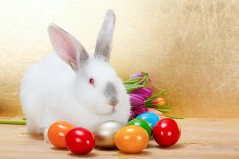 Easter rabbit with colorful eggs Stock Photos