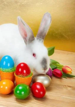 Easter rabbit with colorful eggs Stock Photos