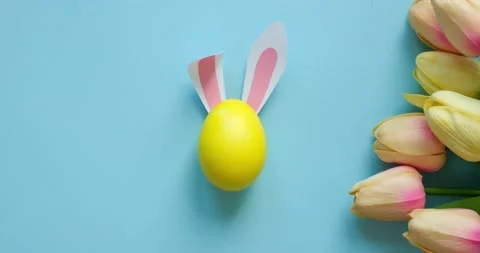 Easter rabbit ears on a yellow egg and tulips on a blue background Stock Footage 235773239