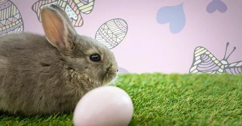 Easter rabbit with egg in front of pattern Stock Photos