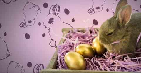 Easter Rabbit with eggs and pattern Stock Photos