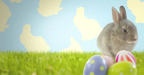 Easter rabbit with eggs in front of pattern Stock Photos