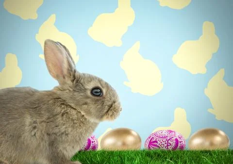 Easter rabbit with eggs in front of pattern Foto stock