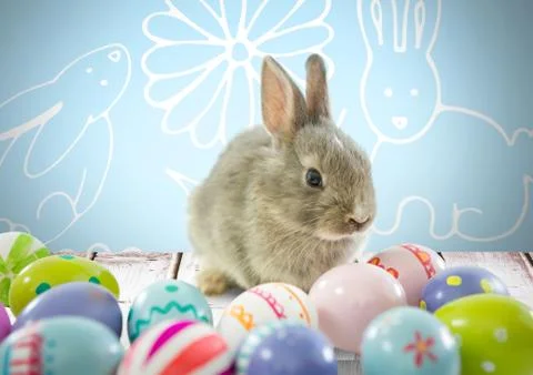 Easter rabbit with eggs in front of pattern Stock Photos