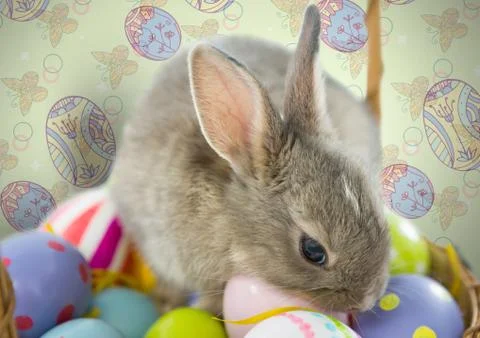 Easter rabbit on eggs in front of pattern Foto stock