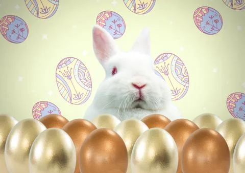 Easter rabbit with eggs in front of pattern Foto stock