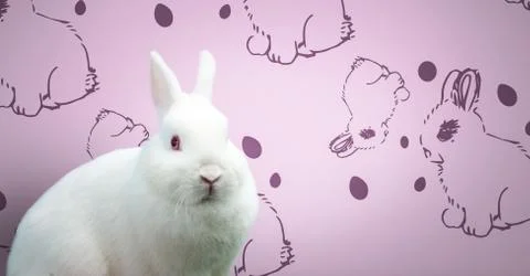 Easter rabbit in front of pattern 库存照片