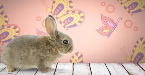 Easter rabbit in front of pattern Foto stock