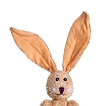 Easter rabbit Stock Photos