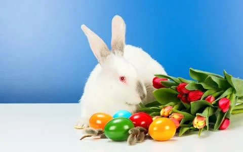 Easter rabbit Stock Photos