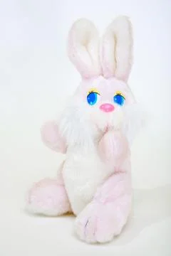 Easter rabbit 写真素材