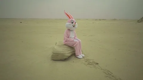 Easter rabbit sits on stone in desert. Crazy maniac or psycho in pink rabbit Stock Footage 80084739