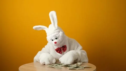 Easter rabbit, white hare counts dollars, sorts banknotes. Stock Footage 241178241