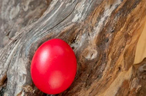 Easter red egg Stock Photos