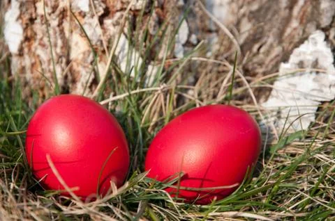 Easter red egg Foto stock