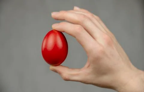 Easter red egg sandwiched between fingers on white abstract background. Stock Photos