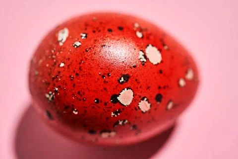 Easter red quail egg close-up. Texture. Easter red quail egg close-up. Tex... Fotos de archivo