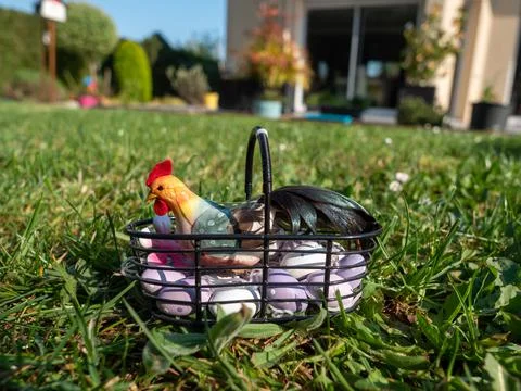 Easter. Rooster sitting on painted eggs in a basket on the Ground Grass in th Stock Photos