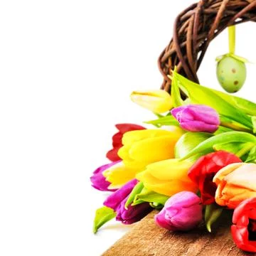 Easter setting with colorful tulips Stock Photos