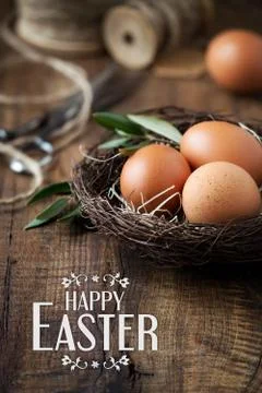 Easter setting - Easter eggs in a nest with olive branches Stock Photos