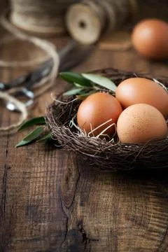 Easter setting - Easter eggs in a nest with olive branches Stock Photos