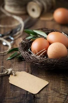 Easter setting - Easter eggs in a nest with olive branches and empty gift tag Stock Photos