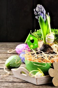 Easter setting with hyacinth and decorative eggs Stock Photos