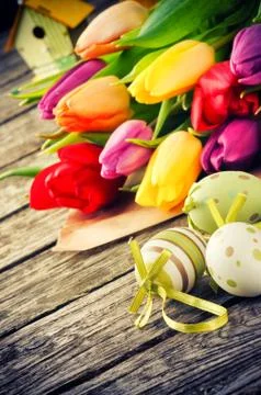 Easter setting with multicolor tulips Stock Photos