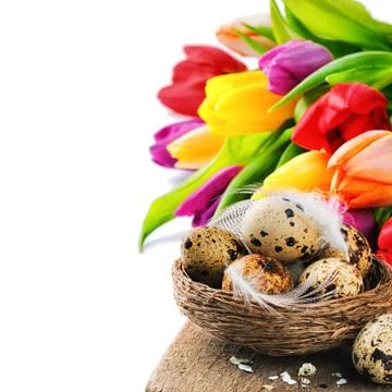 Easter setting with quail eggs and tulips Stock-Fotos