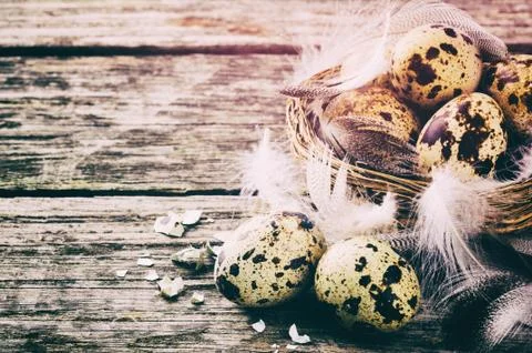 Easter setting with quail eggs Stock Photos
