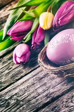 Easter setting with tulips Stock Photos