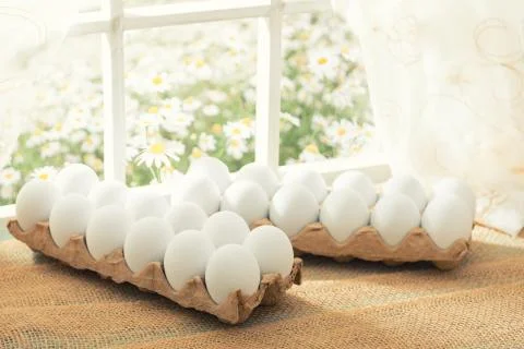 Easter shopping theme: white eggs in an egg crate on the window in a sunny day Stock Photos