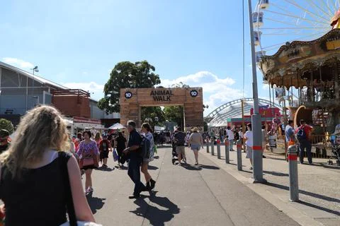 Easter Show Stock Photos