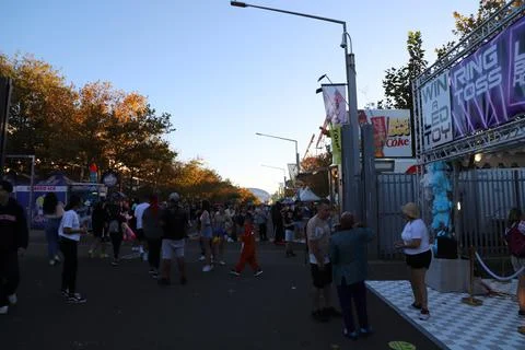 Easter Show Stock Photos
