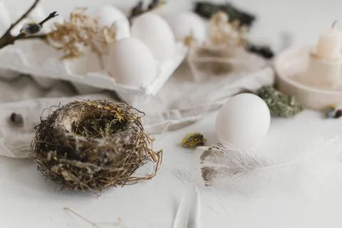 Easter simple aesthetics. Easter natural eggs, feathers, willow branches, n.. Stock Photos