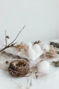Easter simple aesthetics. Easter natural eggs, feathers, willow branches, n.. Stock Photos
