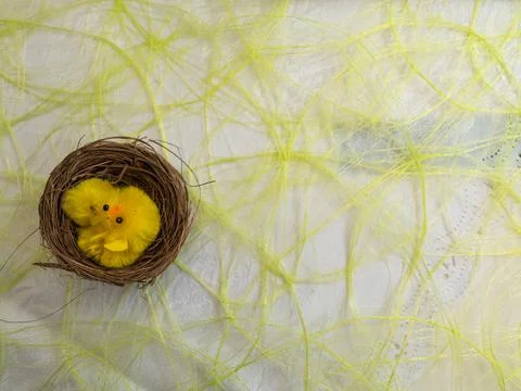 Easter. Small chickens in the basket Stock Photos