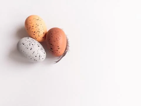 Easter speckled eggs with feather on white background minimal copyspace 스톡 사진