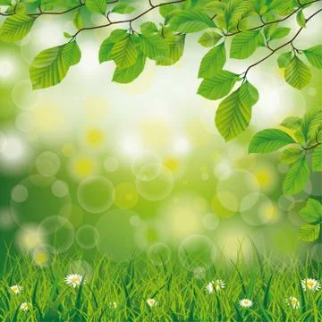 Easter Spring Background Beech Twigs Grass Daisy Flowers Stock Illustration