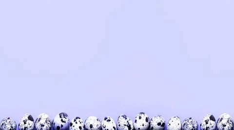 Easter spring background with egg. Spotted quail eggs on a yellow backgroun.. Stock Photos