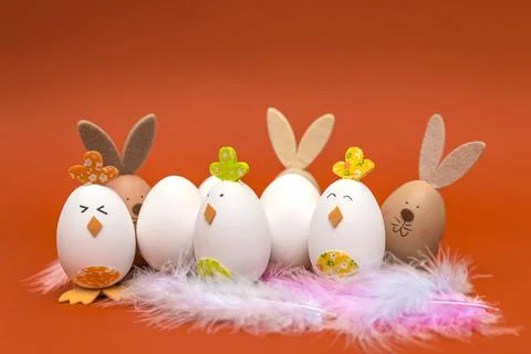Easter spring card, colored bunny and chicken, with colored feathers on an or Stock Photos