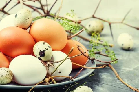 Easter spring composition with colorful chicken and quail eggs, gray backgrou Foto stock